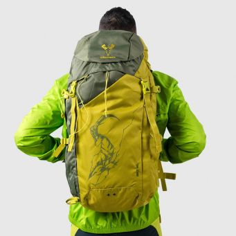 &Ccedil;ant&euml; shpine