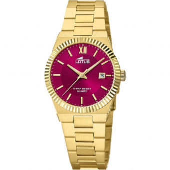 Watches & Accessories 